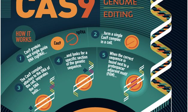 CRISPR Gene Editing