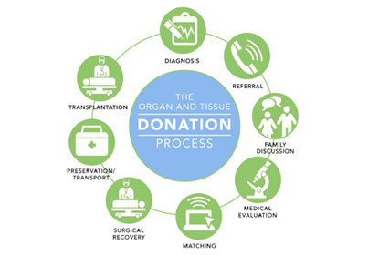 Dartmouth Organ and Tissue Donation CME Course